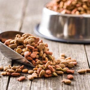 أكل الكلاب الجاف | Dog's Dry Food