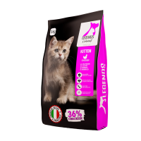 Legends Kitten | ليجيندز قطط صغيرة