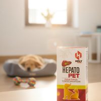 Holy Hepato Pet 100 ml