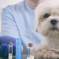 Dewormers | مضادات ديدان